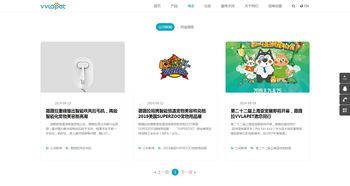 卓越邁創(chuàng)軟件助力薇薇拉網(wǎng)站成功上線，開啟品牌數(shù)字新篇章