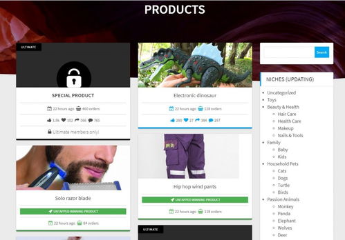 揭秘電商利基市場挖掘術(shù) 兩步精準(zhǔn)打造你的2019年度爆款